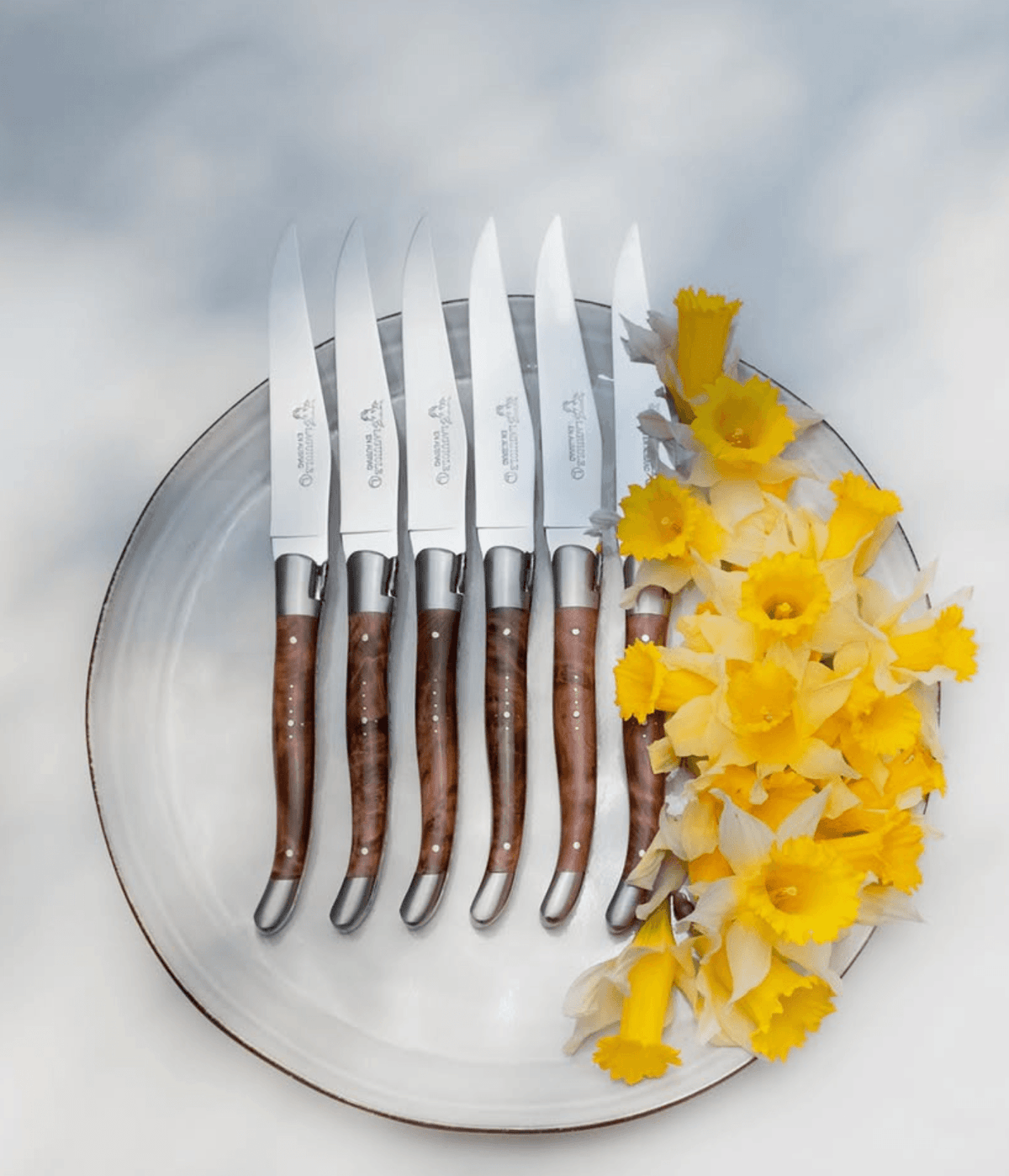 Laguiole en Aubrac Thuja Table Knives - 6 Pieces - image 5