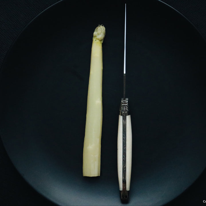 Forge de Laguiole Bone Complete Set — 24 Pieces